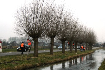 Warderweg 2009